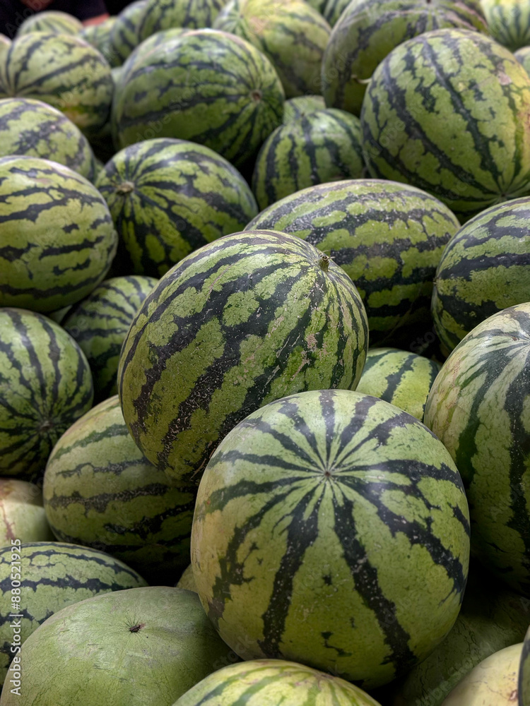 Fresh organic watermelons in close-up, top view. Fresh organic watermelons in close-up, top view.