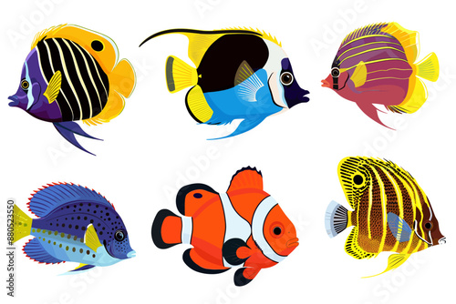 Colorful tropical sea fish ocean saltwater cartoon vector set