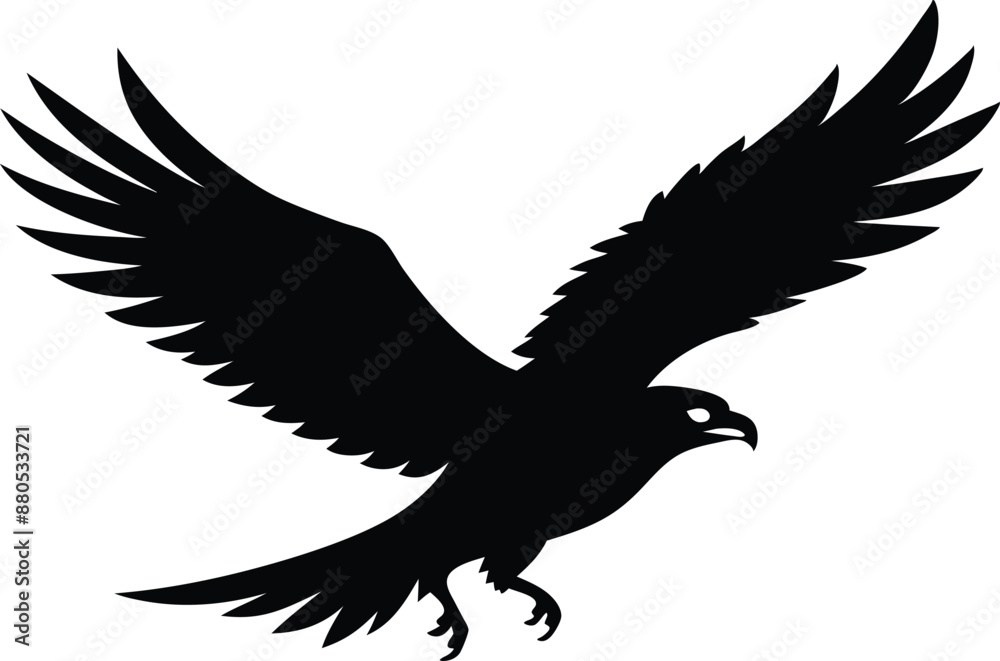 Obraz premium Hawk silhouette, Flying hawk bird, Hawk Bird Silhouette SVG, Eagle vector illustration 