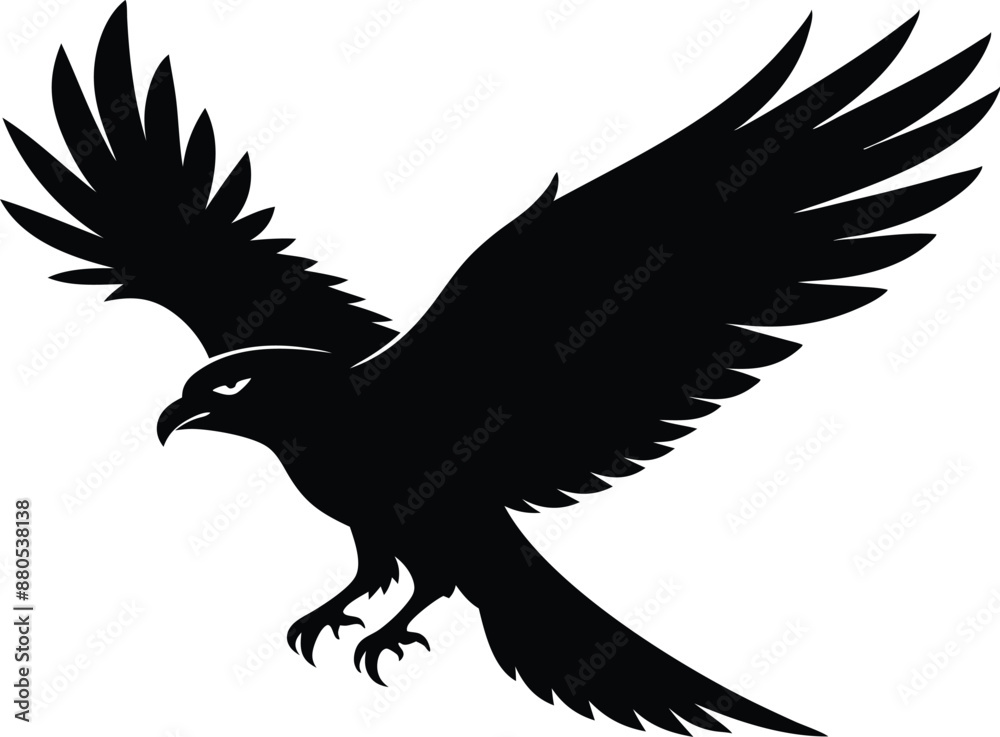 Fototapeta premium Hawk silhouette, Flying hawk bird, Hawk Bird Silhouette SVG, Eagle vector illustration 