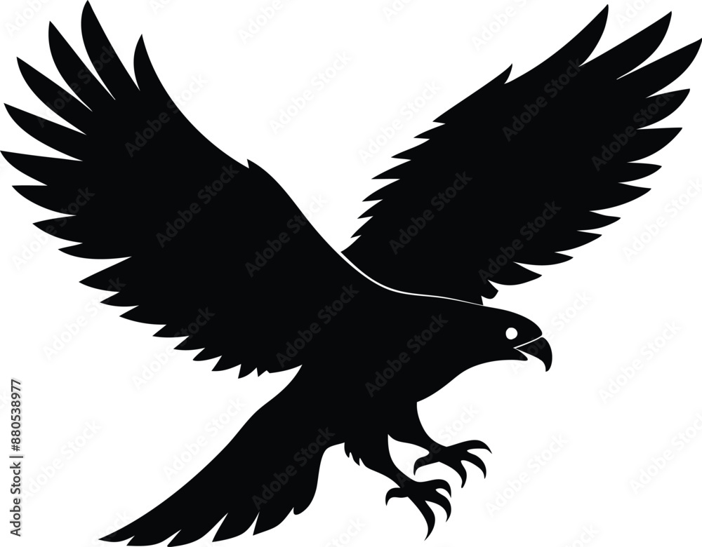 Fototapeta premium Hawk silhouette, Flying hawk bird, Hawk Bird Silhouette SVG, Eagle vector illustration 