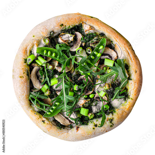 Fresh homdmade pizza design element photo