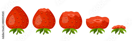 Strawberry eating steps icon set. Stages of biting red berry from Whole, bitten and entirely eaten. bite progression sequence animation of eaten. Hand drawn flat style isolated. Vector illustration