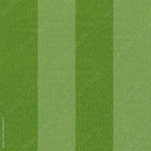 Green GrassTexture Pattern on striped sport field in summer.Vector Seamless Carpet or lawn top view Background for Baseball, Soccer, Football,Golf game,Spring field with meadow or grass land.
