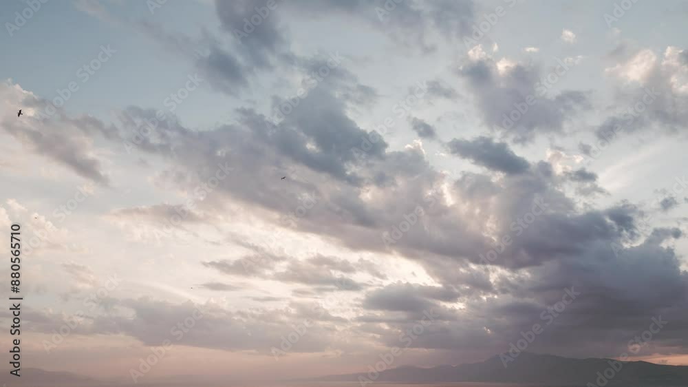 Calm tracking sea gulls in sunset sky, aerial video 50fps