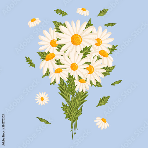 Spring bouquet of white chamomile or daisy flowers. Botanical vector illustration isolated for postcard, poster, ad, decor, fabric and other uses.