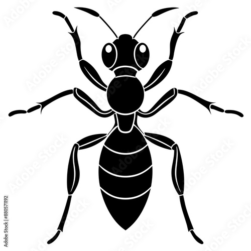 Ant silhouette vector illustration