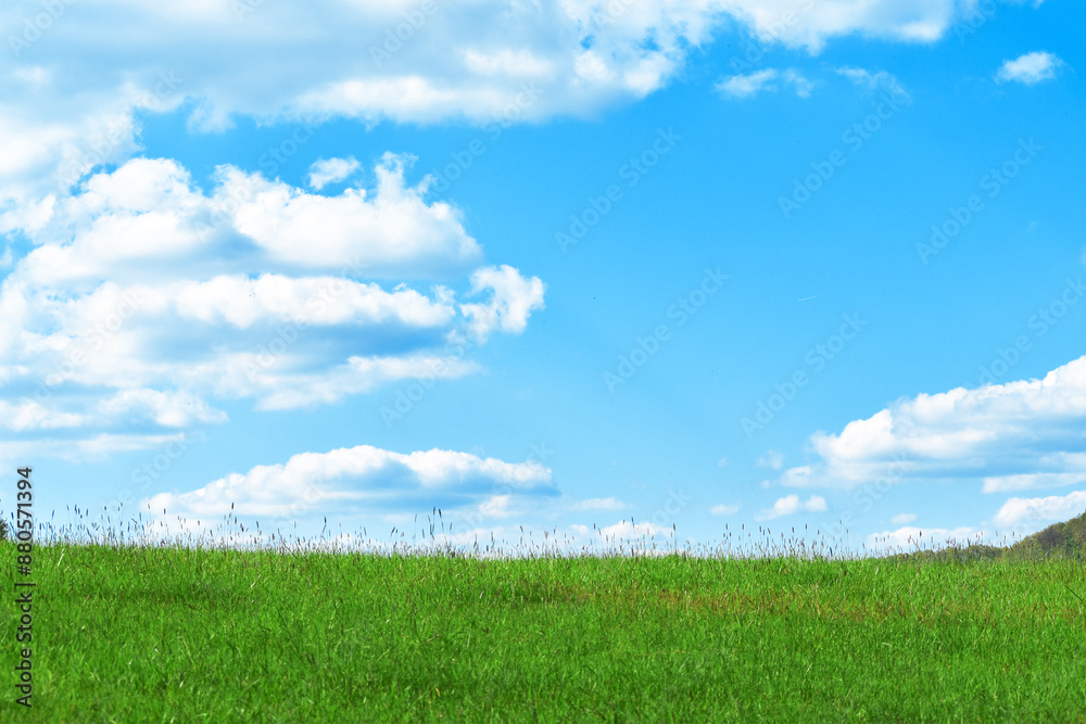 Beautiful background image of a spring nature field against a blue sky with clouds on a bright sunny day. Green lawn against the sky. Beautiful background image of a spring nature field against a blue sky with clouds on a bright sunny day. Green lawn against the sky.