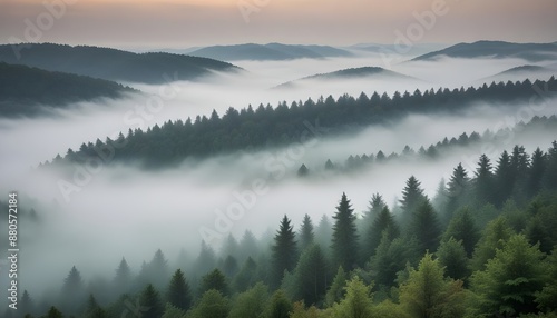 Beautiful view offer a foggy forest from top of hill