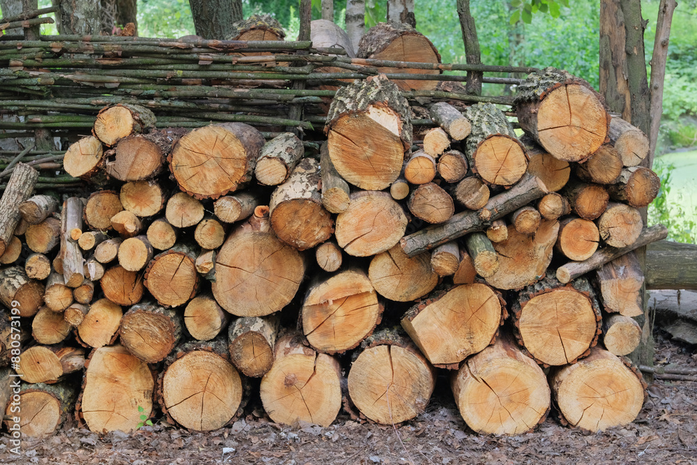 Storage of firewood. Firewood warehouse in the countryside. Woodpile fresh cut pine logs at sawmill factory. Natural wooden background. Storage of firewood. Firewood warehouse in the countryside. Woodpile fresh cut pine logs at sawmill factory. Natural wooden background.