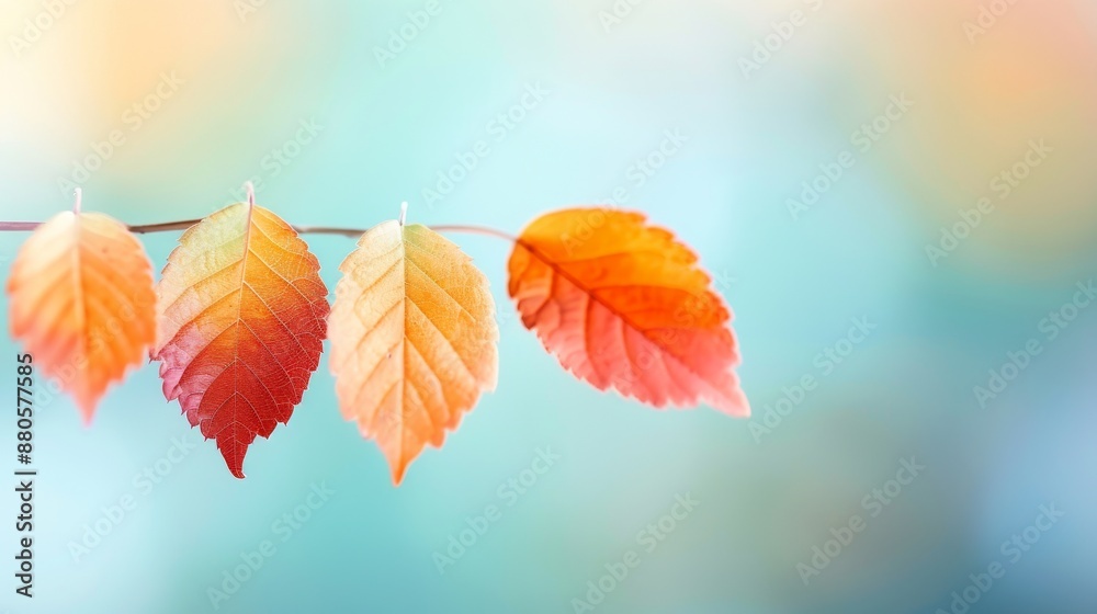 Vibrant autumn leaves transitioning from green to orange, captured against a soft, blurred background, symbolizing change and nature's beauty. Vibrant autumn leaves transitioning from green to orange, captured against a soft, blurred background, symbolizing change and nature's beauty.