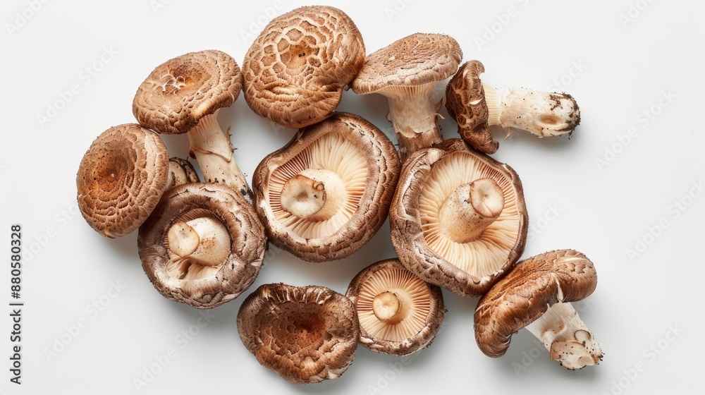 A pile of variously colored mushrooms arranged on a clean white surface A pile of variously colored mushrooms arranged on a clean white surface