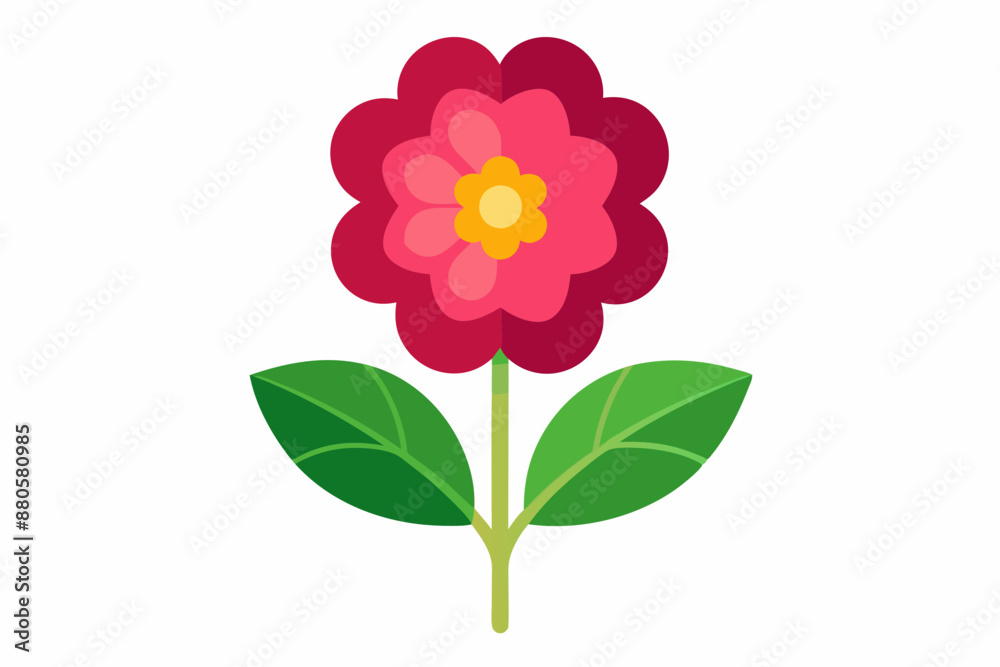 Primrose flower vector illustration Primrose flower vector illustration