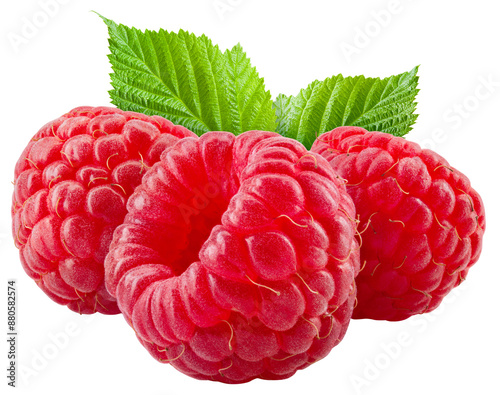 Fotografi Raspberry isolated png