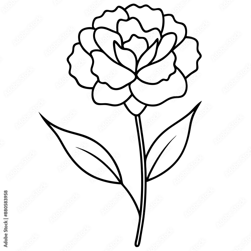 Line art of Carnation flower Line art of Carnation flower