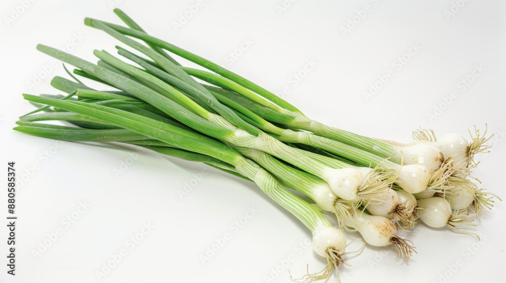 Fototapeta premium Fresh green onions on white background