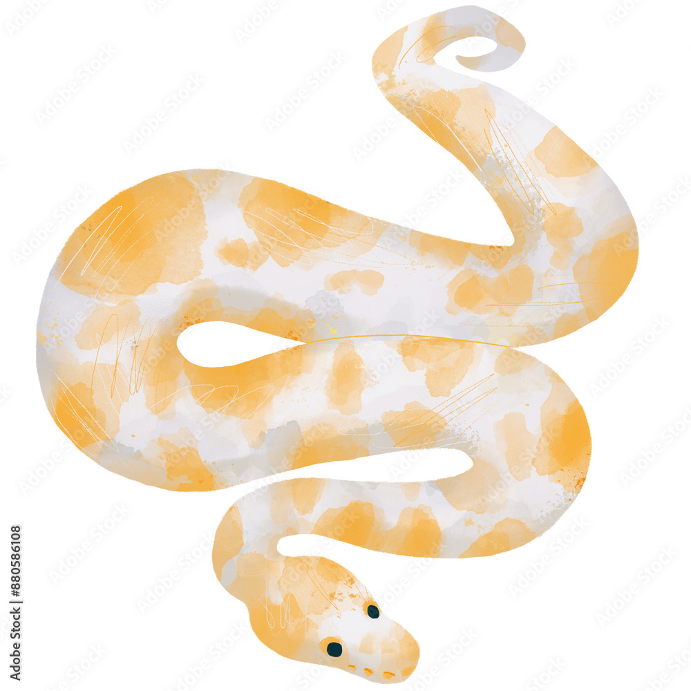 Obraz premium Ball Python watercolor transparent png