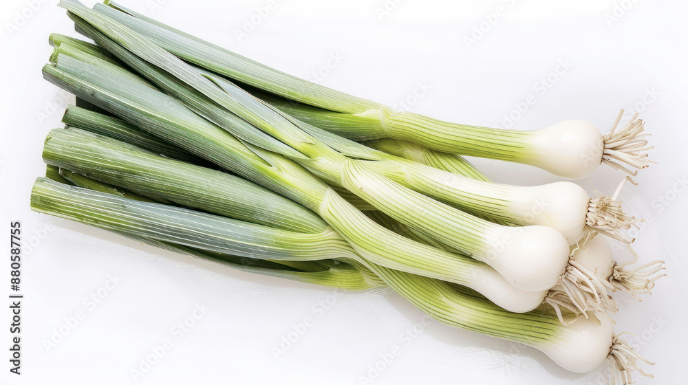 Fresh green onions on white background Fresh green onions on white background