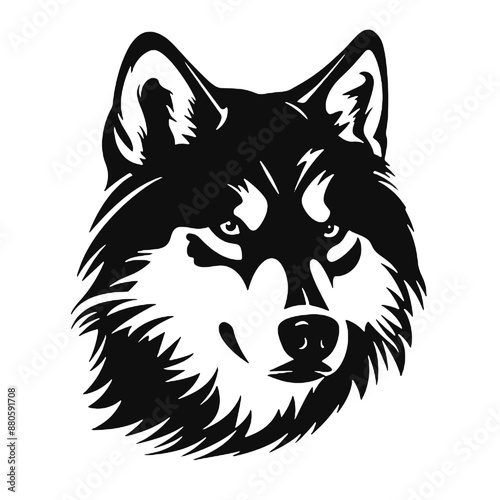 Vector Siberian husky. black silhouette artwork.