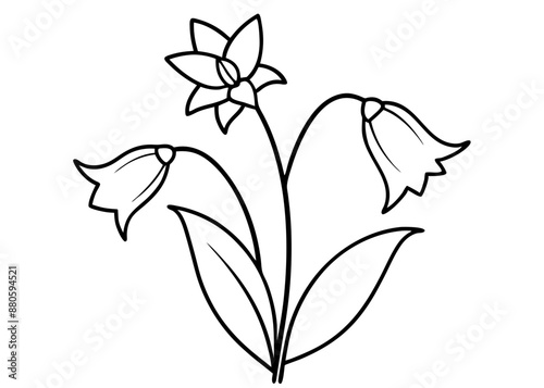 Line art of Canterbury Bells flower