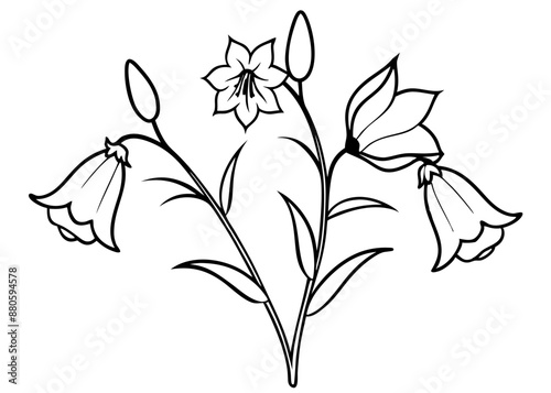 Line art of Canterbury Bells flower
