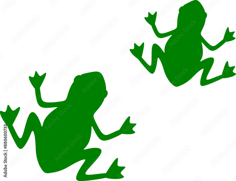 Obraz premium Frog Illustration