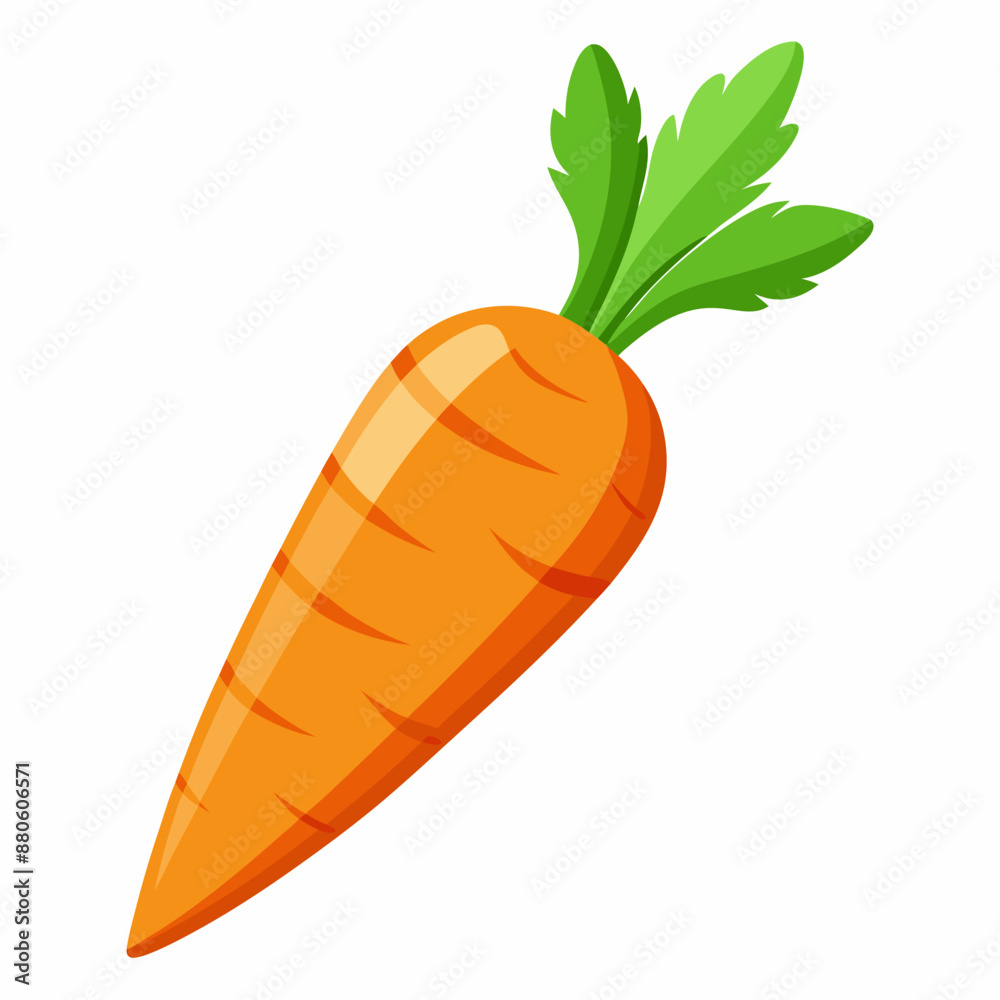 carrot vector illustration on white background carrot vector illustration on white background