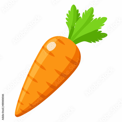 carrot vector illustration on white background