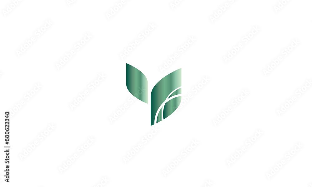 green leaves isolated on white background green leaves isolated on white background