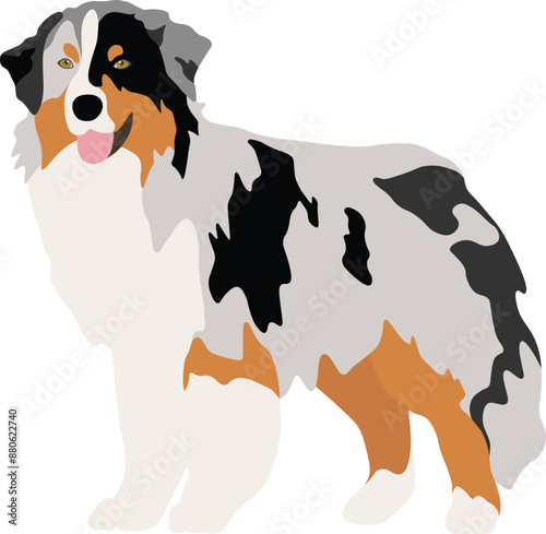 Australian Shepherd Dog Minimal Flat Vector Illustration
