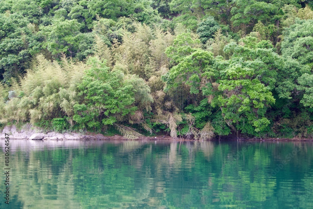 Scenery of Shimanto River and Bamboo Forest Scenery of Shimanto River and Bamboo Forest
