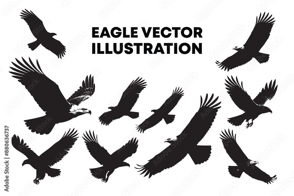 Eagle bird flying silhouette illustration Eagle bird flying silhouette illustration