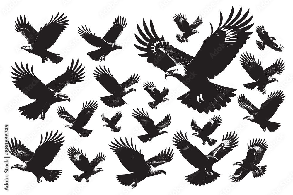 Obraz premium Eagle bird flying silhouette illustration