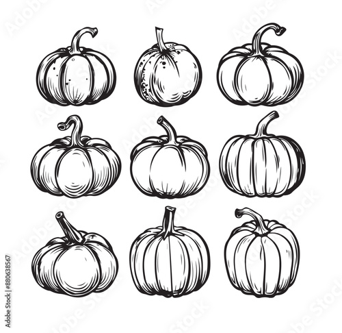 Collection of graphic hand drawn ink pumpkins