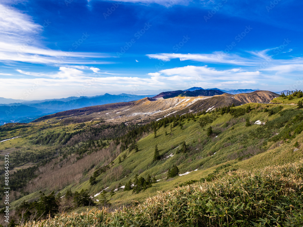 Fototapeta premium 緑と土色