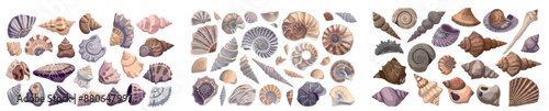Icon set of fossil dinosaur archaeology stone. An illustration collection of isolated cartoon illustrations of sea animals and ancient plants.