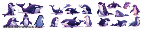 Illustration set of cute toon arctic animals - swimming whale and orca, two funny penguins, and a big brown walrus with tusks and whiskers..