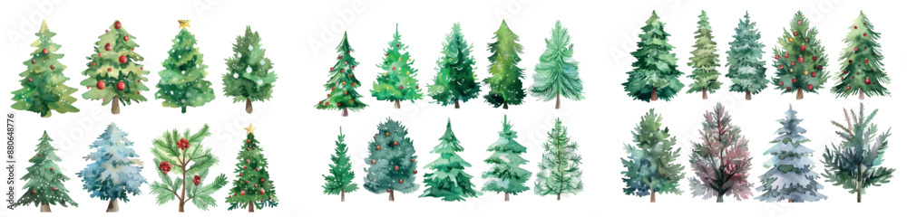 This watercolor illustration set shows a Christmas tree with ornaments This watercolor illustration set shows a Christmas tree with ornaments