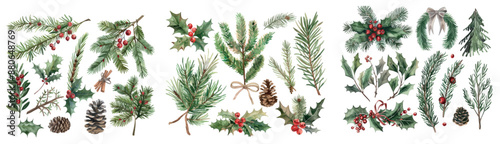 Christmas plant ornament watercolor illustration set.