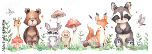 Woodland Animals Watercolor Illustration