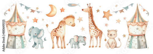 Aquarelle circus nursery baby illustration animals