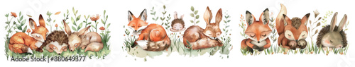 The woodland nursery is adorned with cute woodland animals including a bunny bear fox bird hedgehog in watercolor
