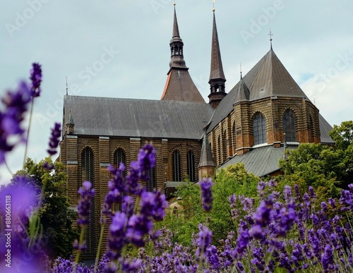 Gothic Marienkirche in Rostock, Germany, framed by vibrant purple flowers in the foreground. The church's pointed spires and intricate brickwork stand out against an overcast sky.