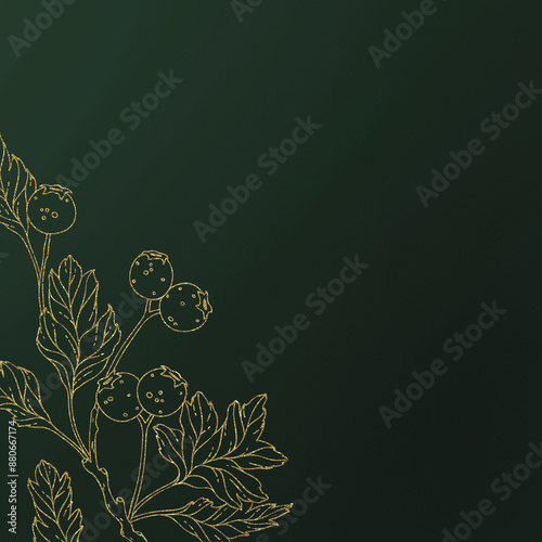 Series of gorgeous autumn floral berries gold ornament  in various elegant background color for card greetings invitation journal announcement cover page and more photo