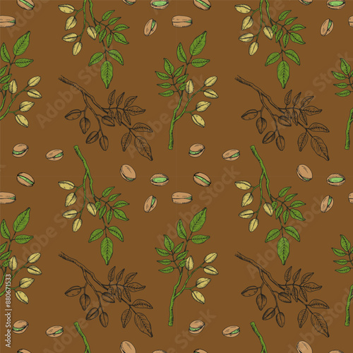 Pistachios nuts seamless pattern. Hand drawn engraved repeating background with nuts. Vector boho illustration. Organic food ingredient, nutty oil. Design for label, card, print, wrapping, textile