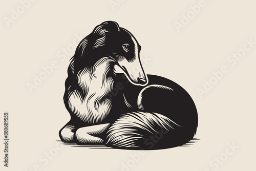  Borzoi dog resting. Russian Wolfhound. Russian Hunting Sighthound. Vintage black engraving illustration. Icon, logo, emblem. Isolated object