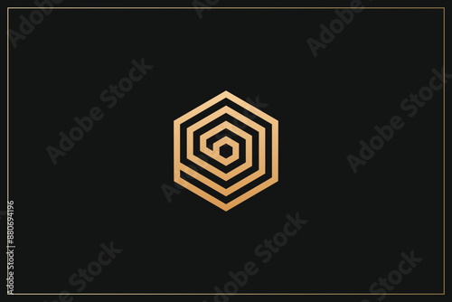 Hexagon Digital Multimedia Brand Logo