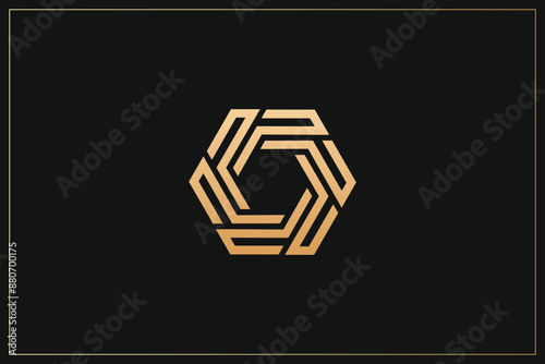Hexagon Digital Multimedia Brand Logo