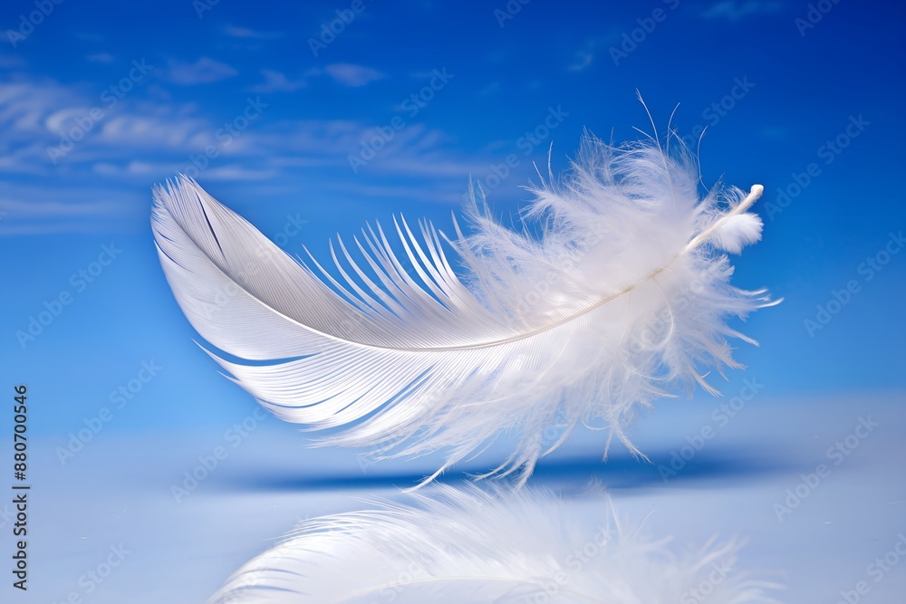 Obraz premium white feather on blue sky