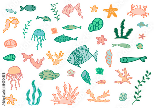 Set of marine hand drawn elements on white background. Vector illustration. Doodle style. Sea world. Cute underwater seashells, starfish, jellyfish, coral reef inhabitants in natural habitat.